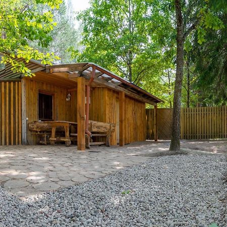 Holiday House With Sauna ツェーシス エクステリア 写真