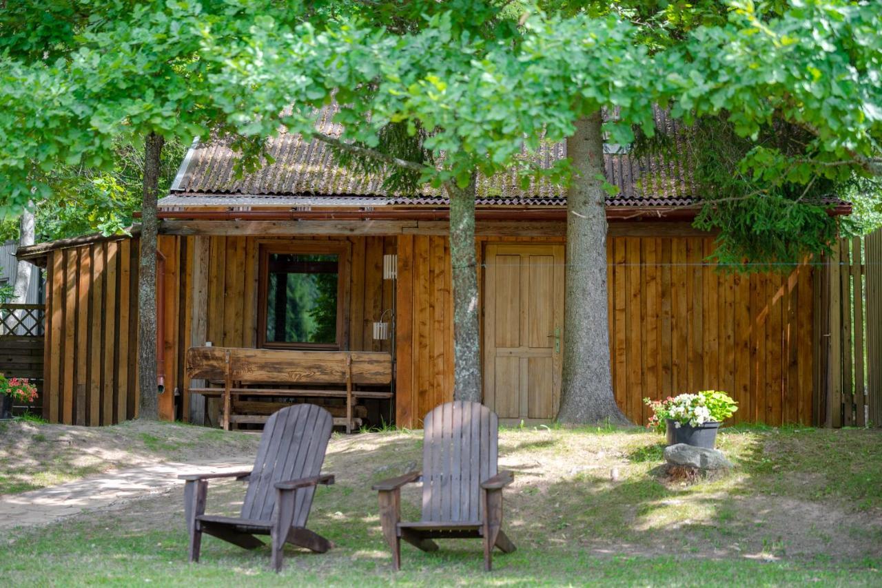 Holiday House With Sauna ツェーシス エクステリア 写真