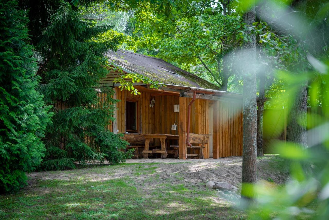 Holiday House With Sauna ツェーシス エクステリア 写真